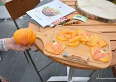 Gourmanson is een hartvormige gele tomaat. "Een echte innovatie. Hij smaakt en ziet er mooi uit. Ook resistent tegen een veel voorkomende ziekte in de tuin, Phytophthora.